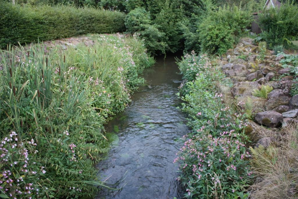 Gite Du Moulin Uhrwiller Exteriér fotografie